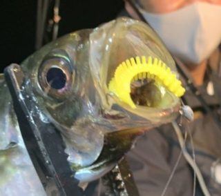 751EF2B3-8F24-4DD7-BE35-09B976A7576B-768x1024