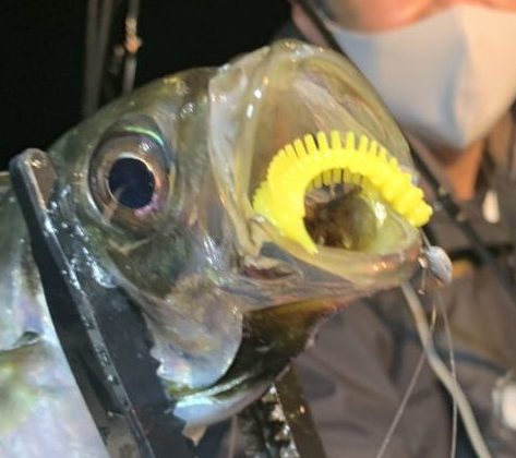 751EF2B3-8F24-4DD7-BE35-09B976A7576B-768x1024