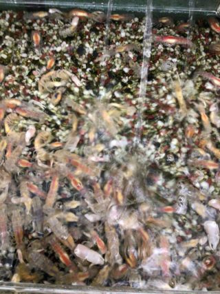 B96521E2-81F3-47F2-A55F-F7F57AE74F4B