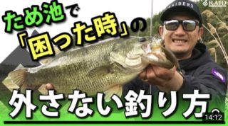 D7718376-242F-4D43-9878-4897C93D8728