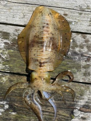 DC86ABB4-C413-425E-AA8D-D3D2C4A73016