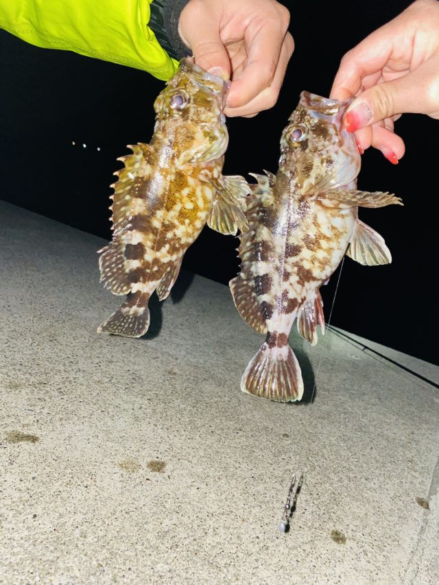 EF96298D-AF9A-4100-B976-971DA123977D