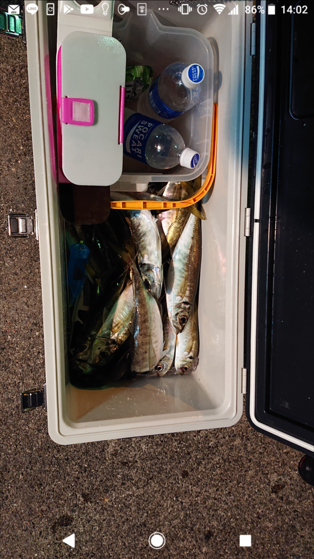 Screenshot_20210401-140258