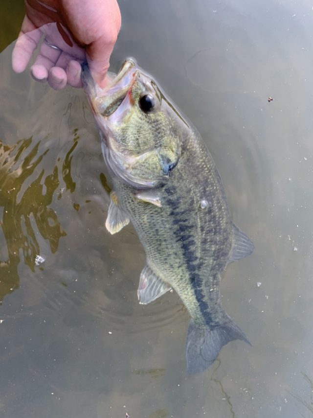 dMwcvugJ3CrwaUMGCS-tLTwXLojS6PYSqCuod3EWmSNEaDM_vGUZGA0U3bih9x7hR11Ryf80Rqly-y_1EyrP1VvBJmhFG8h9OtVtQpskTADnalm4_DIM5glNu7HXuKQB