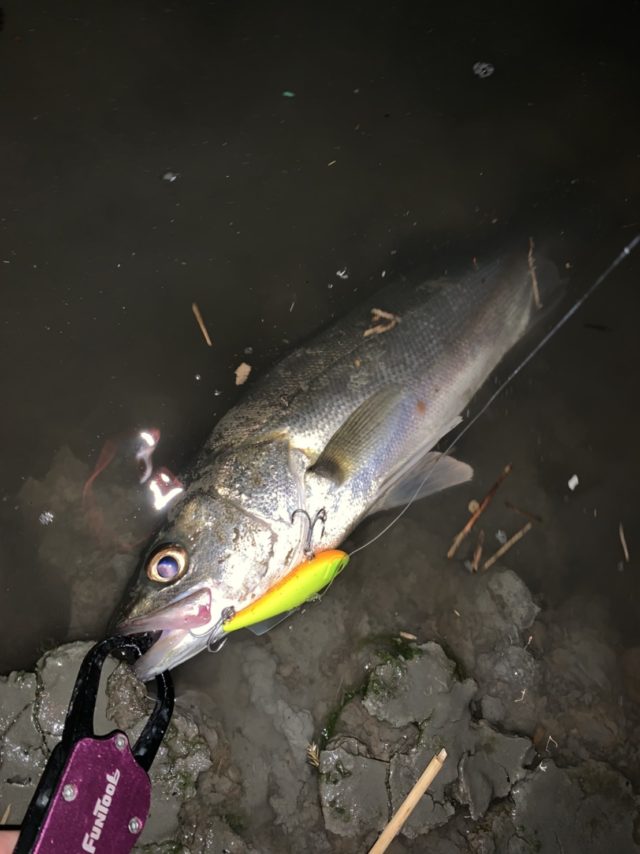 dyBD9WkyPZm4UMV69TmHL5E0HDG3fr-Oo4zovs-7mogrf3zCMAxi6GLgWBw8hwfdBKYqB-pkfol8TS1goqPz_whuNko6L8Ur6Vu8xltPFzkxRwWwS2YG694K905E7FXv