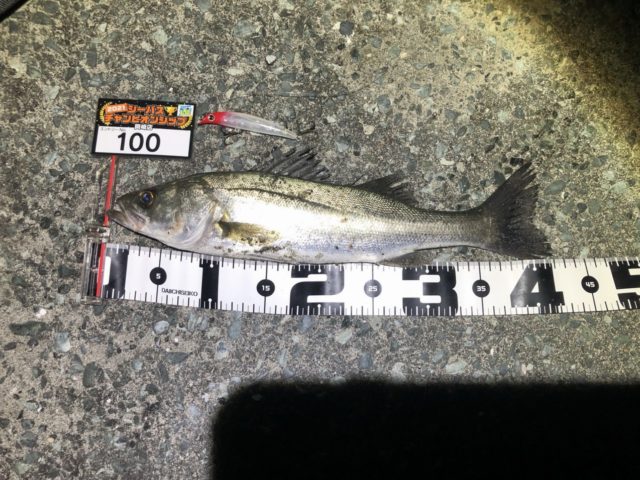 line_oa_chat_210402_095046