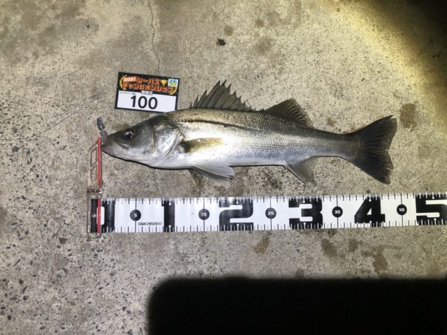 line_oa_chat_210402_095108