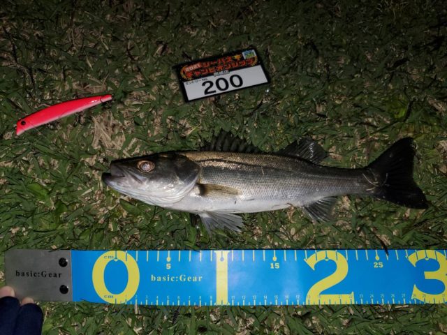 line_oa_chat_210420_101602