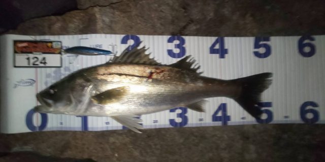 line_oa_chat_210423_102119