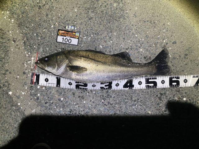 line_oa_chat_210423_102247