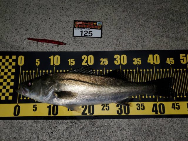 line_oa_chat_210424_095523