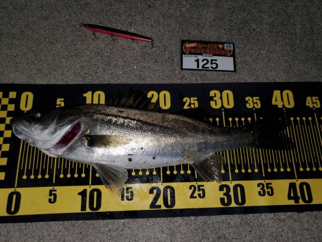 line_oa_chat_210424_095525