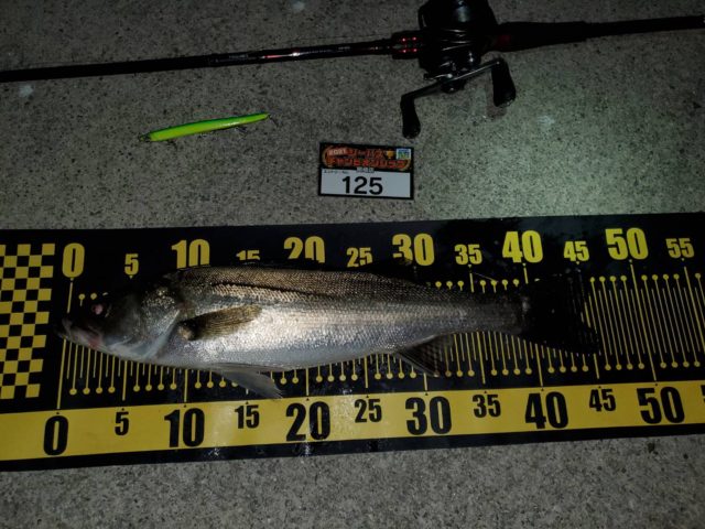 line_oa_chat_210424_095528