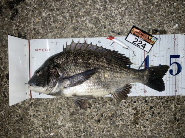 line_oa_chat_210424_095621