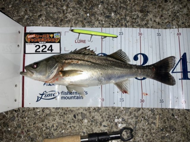 line_oa_chat_210424_095623