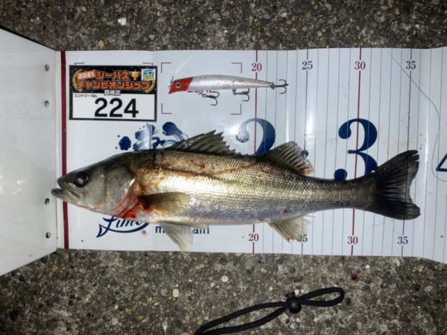 line_oa_chat_210424_095626