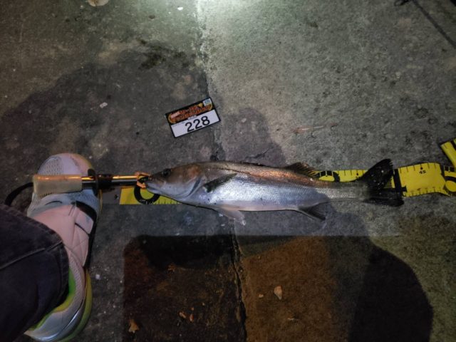 line_oa_chat_210424_095715