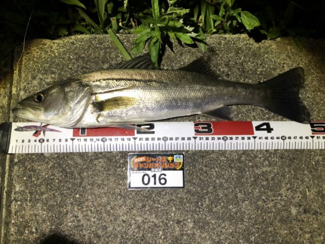 line_oa_chat_210424_095937