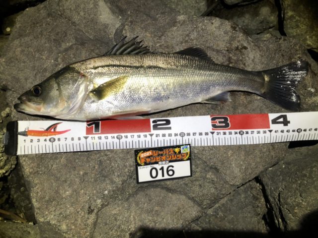 line_oa_chat_210424_095942