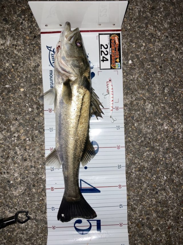 line_oa_chat_210424_135438