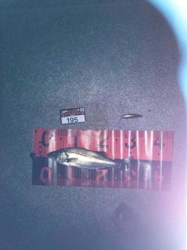 line_oa_chat_210427_101913