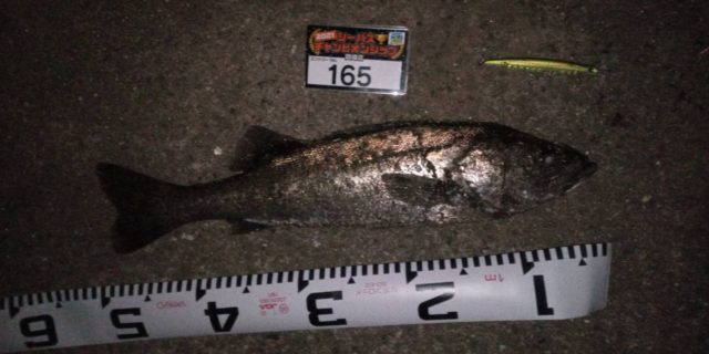 line_oa_chat_210427_102311