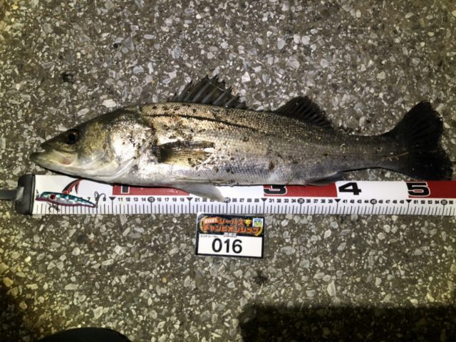 line_oa_chat_210427_102432