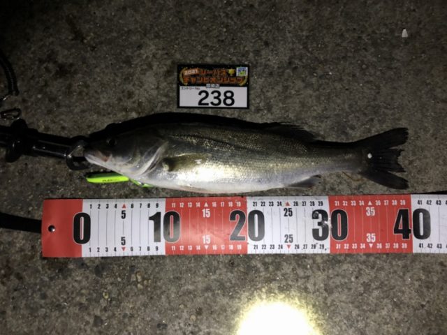 line_oa_chat_210427_102551