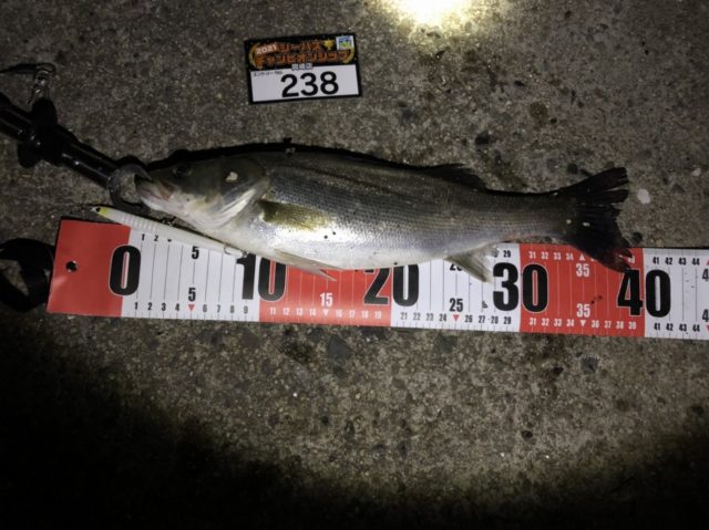 line_oa_chat_210427_102553