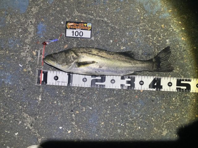 line_oa_chat_210427_102626