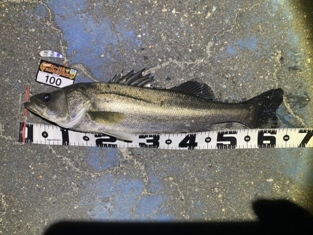 line_oa_chat_210427_102628