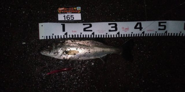 line_oa_chat_210429_111410