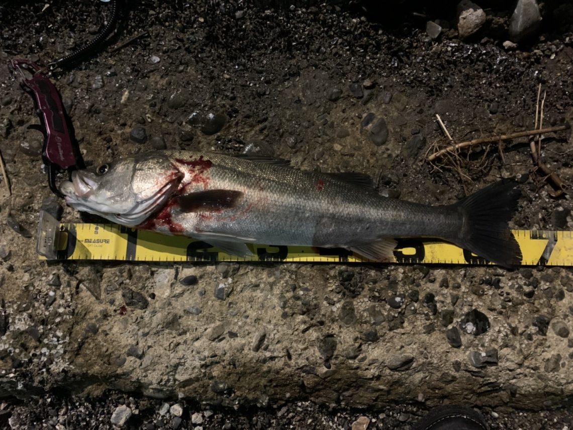 woQ9DX5QBKzAftGfivlCjBIm444krSBFRkMzfpsSt7v4dvfaYZNM6gRAdNW6NNxsbgQQ6BBJg3edFDIJnVE1uyteP1YUYGwHffCcnGf0pzpwQZ80gcwXF2QgyGolmKTu