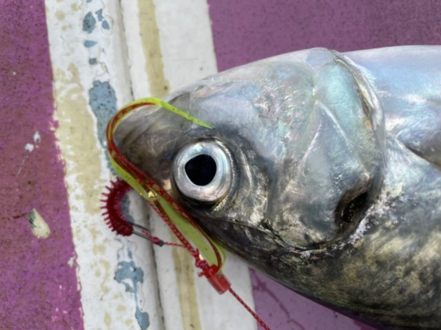 3968D1DF-F25A-44FE-9E43-93B20175F31B