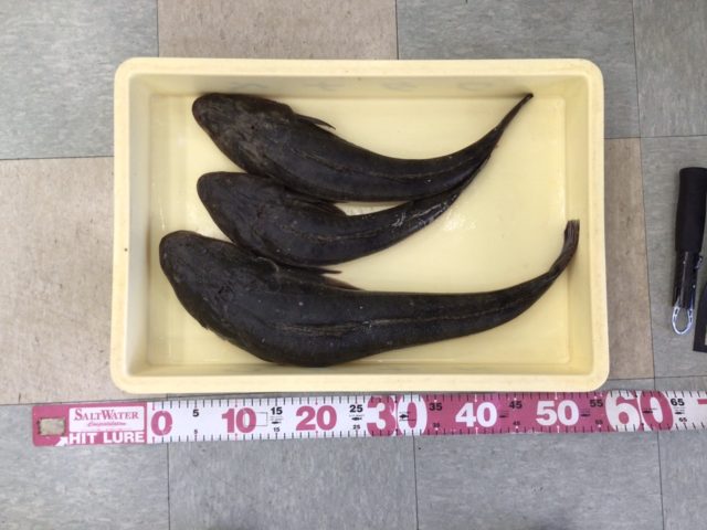 7A1BBA3F-3620-408C-B629-9B0A9C7B26DE