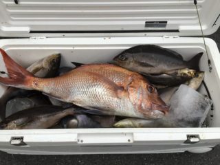 84DE731F-AC78-4D5D-A117-D353675D8AA0