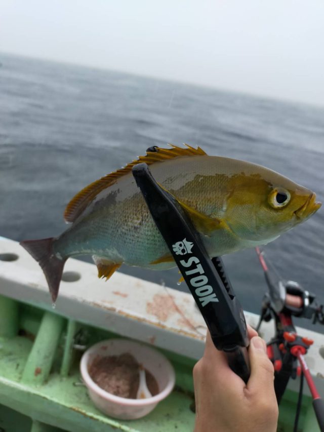 _8TG6jkizZqL7jx7tr8vt3UpTHpWrzYAVkUHijQx5u5UPkG-SiUgTgwuiat3jbVZrEQ33dq5wXCXvSz22U05mjaySpdVzmXJOL0fZ41fJKPC_JCHwscjpUqh_3Zu50OH