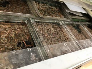 9B9F6D4C-7258-416D-BB12-9680D6D98837