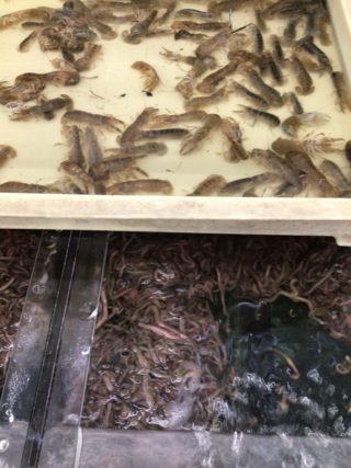 EDEB51AA-9A57-4AE3-8322-0B14DA743623