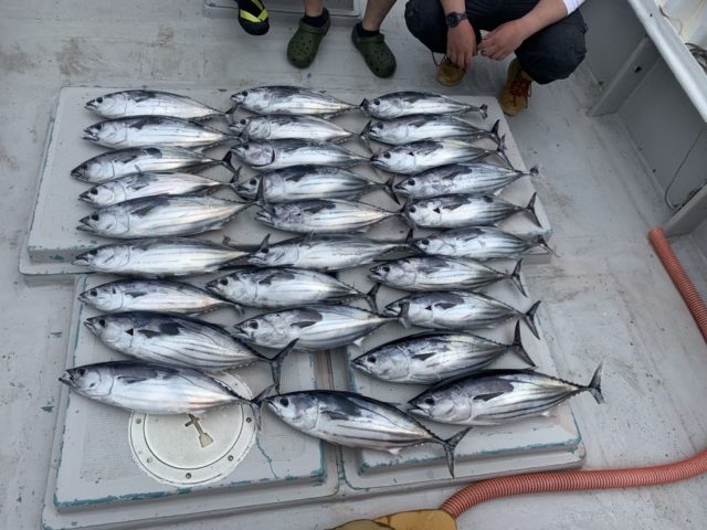 FDA4F6A4-2E22-4F57-9080-96DBEBC0C28D