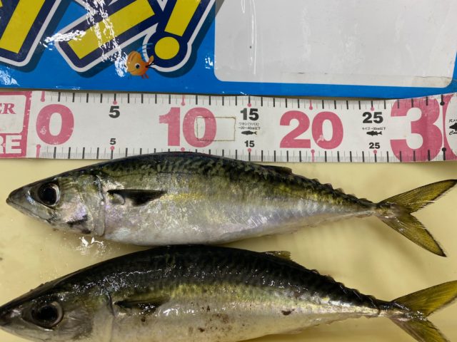 5_22＿四日市港01