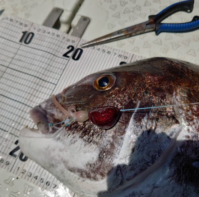 img_20210515_114731_8352266716766413902001 (1)