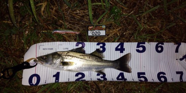 line_oa_chat_210501_132858