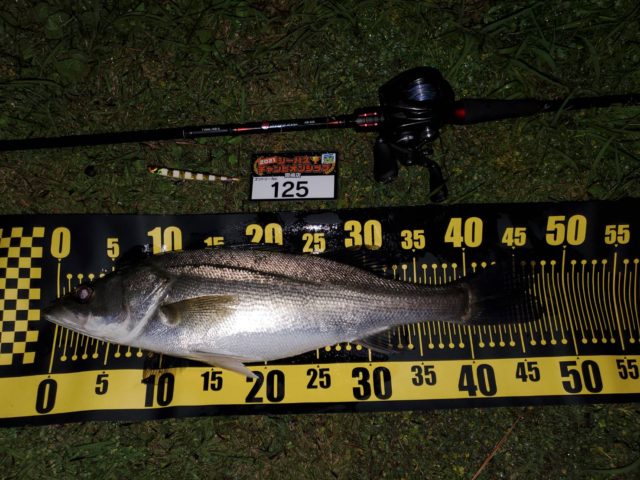 line_oa_chat_210501_132949