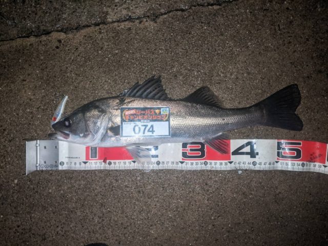 line_oa_chat_210501_133026