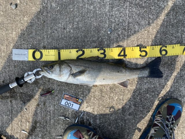 line_oa_chat_210501_133045