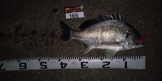 line_oa_chat_210501_133148