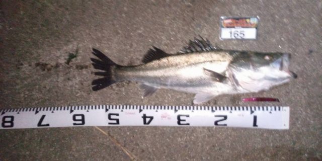 line_oa_chat_210501_133150