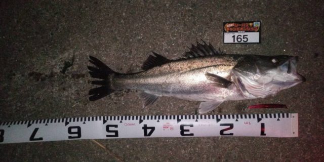 line_oa_chat_210501_133152