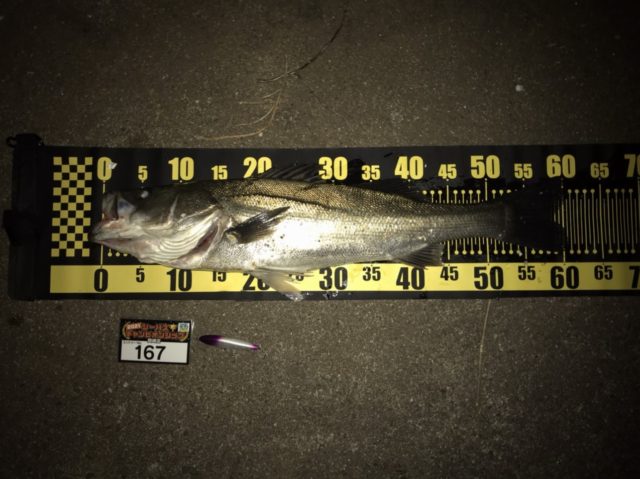 line_oa_chat_210501_133304